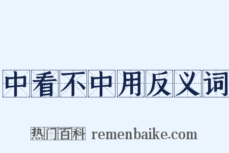 中看不中用反义词是什么意思的图片